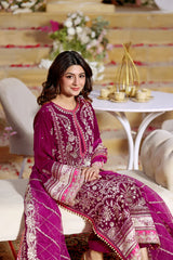 Aneela's Luxury Velvet Embroidered Collection 3 Piece Unstitched / Stitched