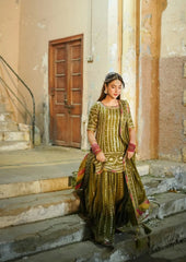 Dananeer Mehndi Garara Chiffon Collection 3 piece Unstitched