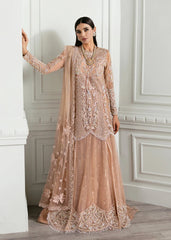 Crimson Formal Net Embroidered With Handwork 3 Piece Unstitched / Stitched