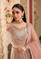 Elaf Wedding Net Maxi Collection Embroidery Unstiched / Stitched