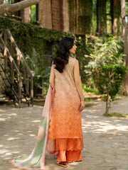 Asifa Nabeel Mustard Luxury Lawn Embroidered 3 Piece Unstitched / Stitched