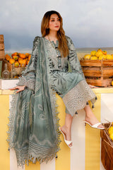 Nureh Printed Lawn Collection 3 piece Unstitched / Stitched