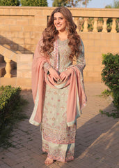 Haseen Mint blush Chiffon Collection 3 Piece Unstitched / Stitched