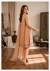 Rangrez luxury Formal Net Collection 3 Piece Unstitched / Stitched