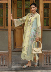 Crimson Luxery Chickenkari Collection 3 Piece Unstitched / Stitched