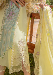 Crimson Luxery Chickenkari Collection 3 Piece Unstitched / Stitched