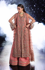 Elaf Wedding Net Collection 3 Piece Embroidery Unstiched / Stitched