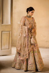 Anaya Skin Bridal Net Maxi Embroidered Collection 3 Piece Unstitched / Stitched