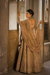 Anaya Skin Bridal Net Maxi Embroidered Collection 3 Piece Unstitched / Stitched
