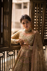 Anaya Skin Bridal Net Maxi Embroidered Collection 3 Piece Unstitched / Stitched