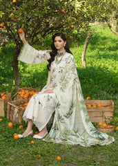 Sardinia luxury Chicken Kari Collection 3 Piece Unstitched