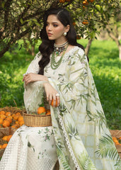 Sardinia luxury Chicken Kari Collection 3 Piece Unstitched