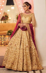 Maya Ali Blush Embellished Net Collection 3 piece Unstitched