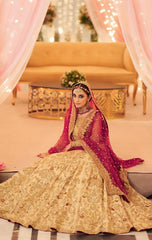 Maya Ali Blush Embellished Net Collection 3 piece Unstitched