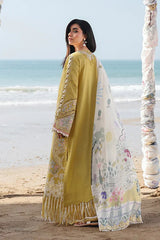 Qalamkar Luxury Lawn Chikan Kari Embroidered 3 Piece Unstitched / Stitched