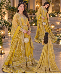 Aneela's Bridal Luxury Net Maxi Embroidered Collection 3 Piece Unstitched / Stitched