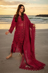 Rang Rasiya Lawn Luxury Embroidered Dress 3 Piece Unstitched / Stitched