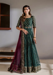 Iznik Global Exquisite Formal Wear Net Collection 3 Piece Unstitched
