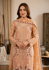 Rangrez luxury Formal Net Collection 3 Piece Unstitched / Stitched