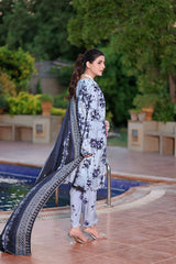Aneela's Digital Printed Luxury Lawn Emb Collection 3Piece Unstitched / Stitched